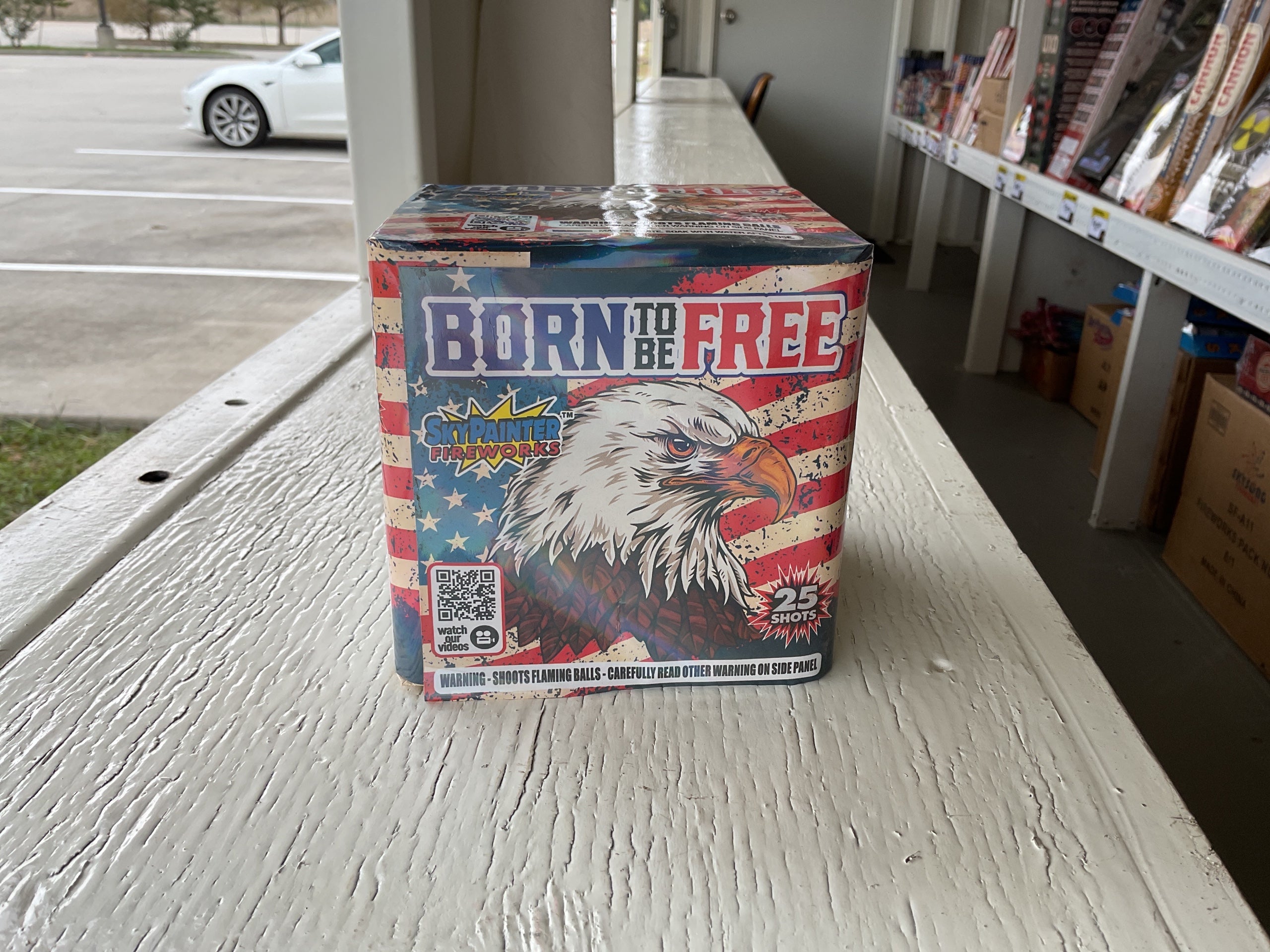 Born to Be Free